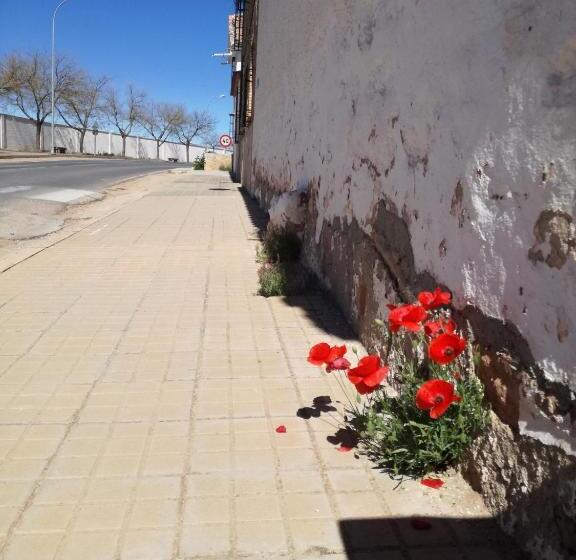 ホテル Rural La Gavilla