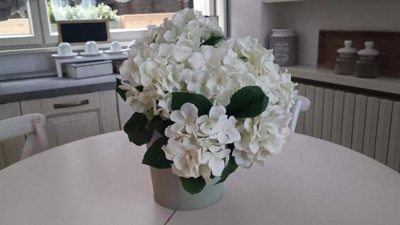 تختخواب و صبحانه Carducci