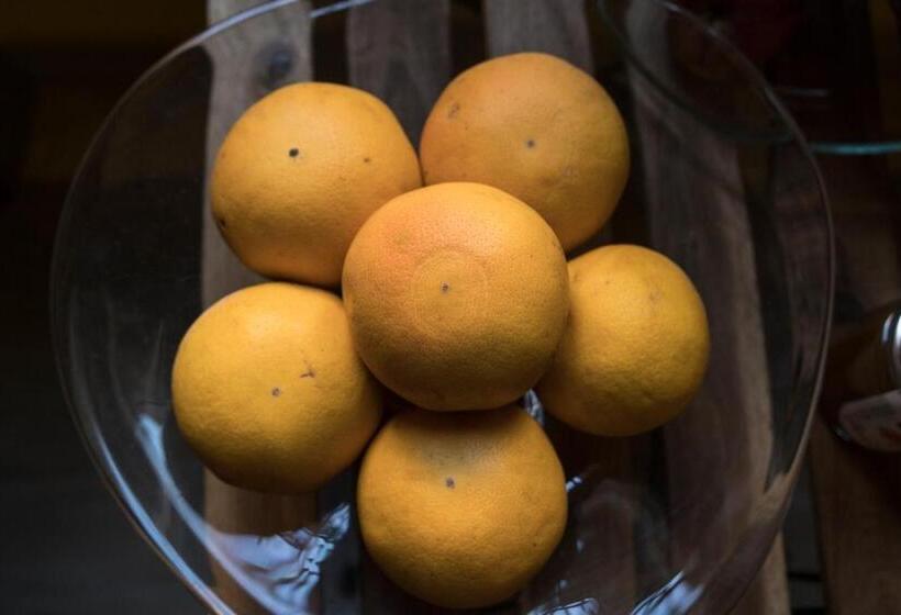 تختخواب و صبحانه Inn Liberty