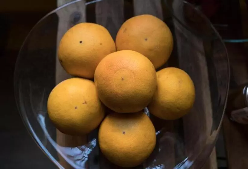 Aamiaismajoitus (B&B) Inn Liberty