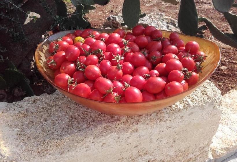 Masseria Centro Colonico B&b