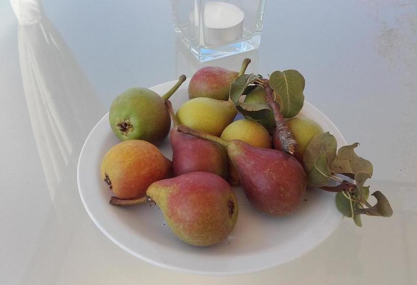 Masseria Centro Colonico B&b