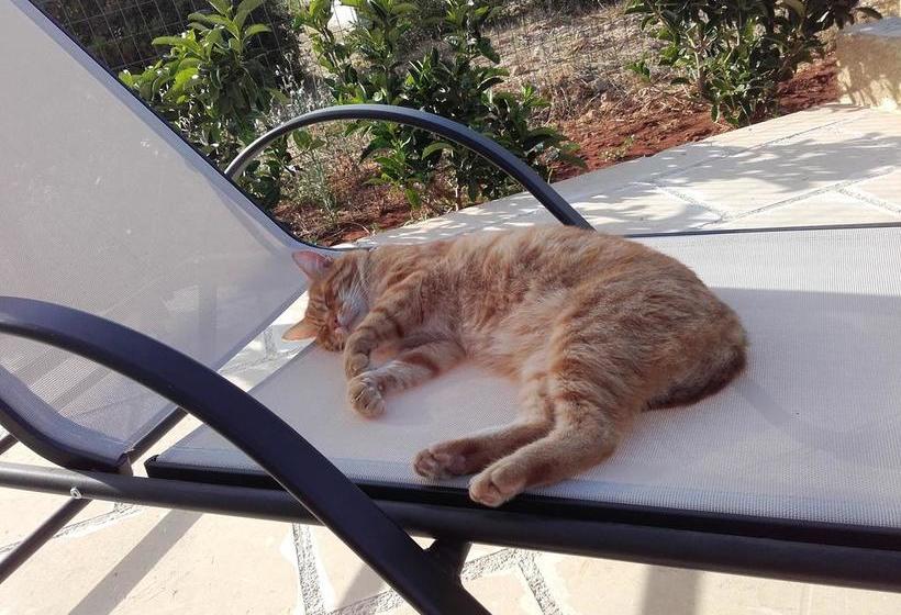 Masseria Centro Colonico B&b