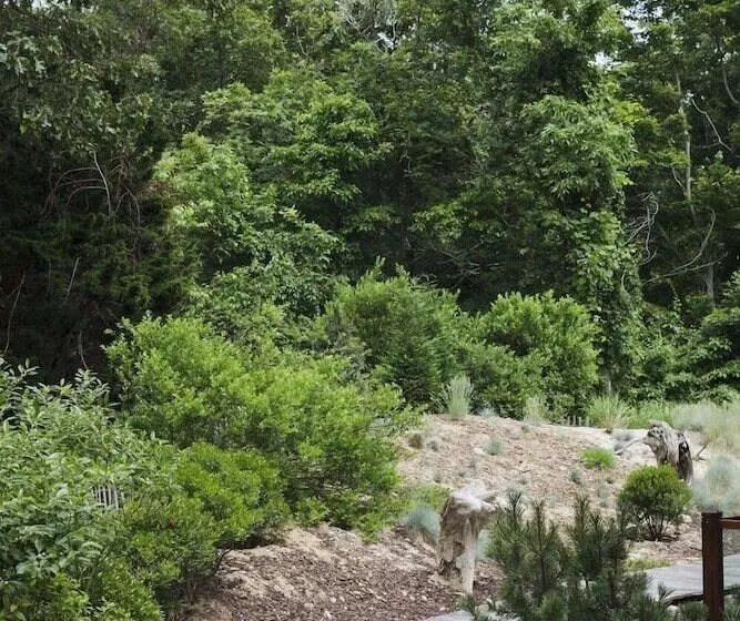 East Hampton Art House Bed And Breakfast