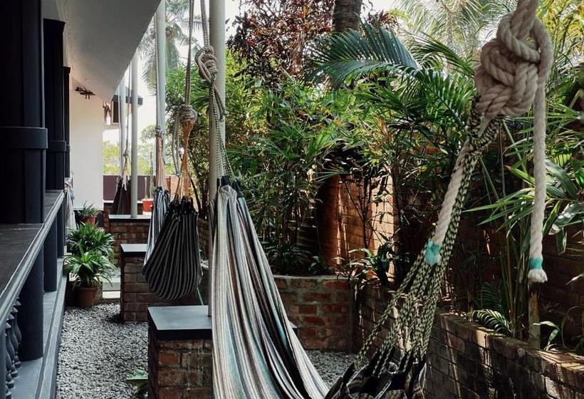 Hotel Mint Inside Garden