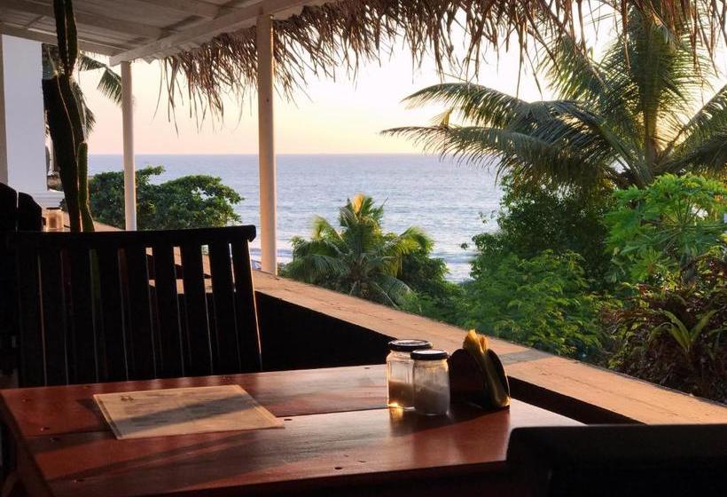 Hotel Mint Inside Garden