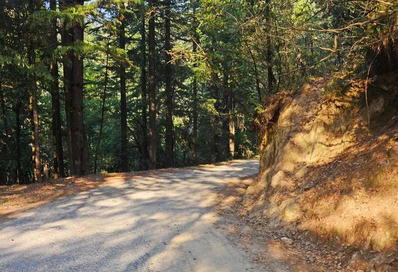 酒店 Ojaswi Himalayan Resort