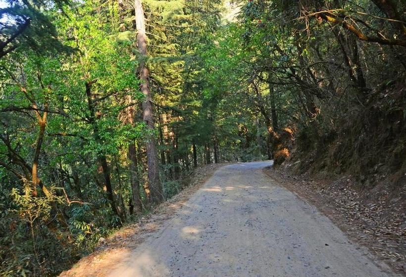 酒店 Ojaswi Himalayan Resort