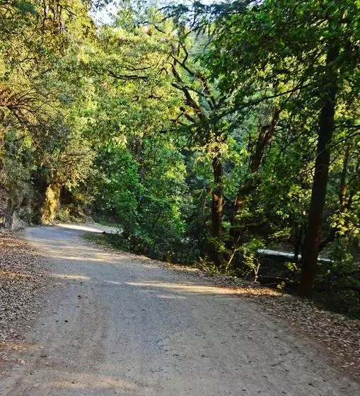 Hotelli Ojaswi Himalayan Resort