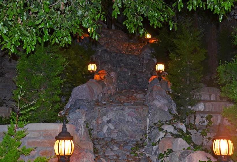 酒店 Ojaswi Himalayan Resort