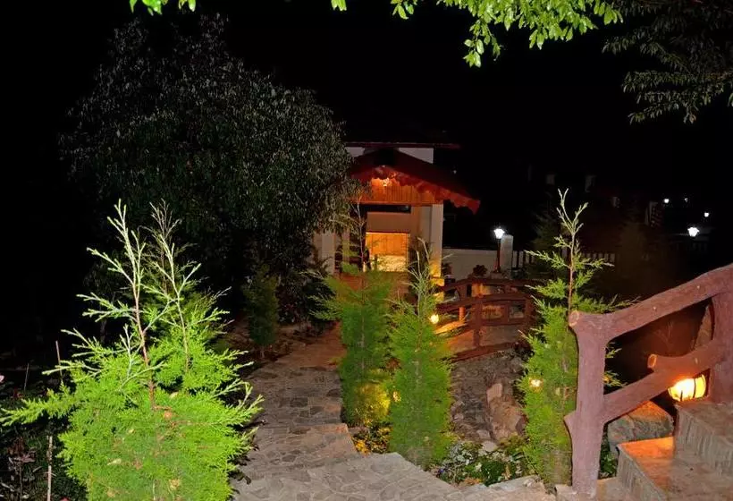 Hotelli Ojaswi Himalayan Resort