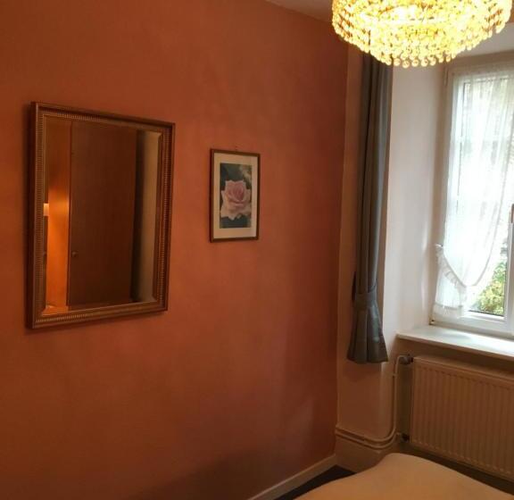 فندق Springiersbacher Hof