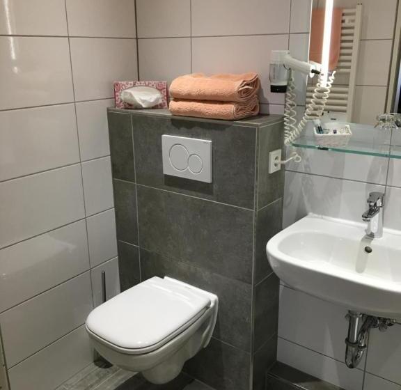 فندق Springiersbacher Hof