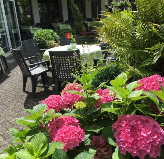 فندق Springiersbacher Hof