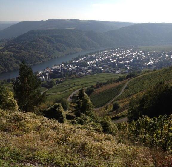 فندق Springiersbacher Hof