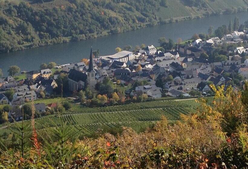 فندق Springiersbacher Hof