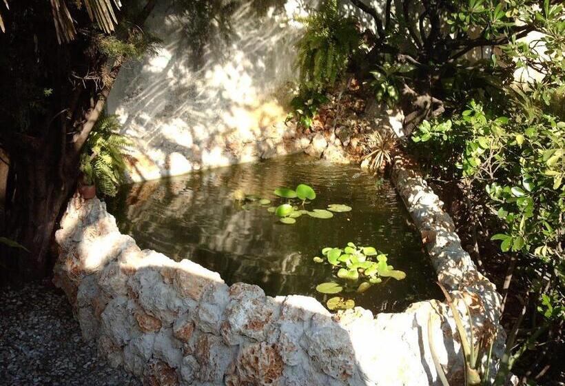 Le Villi Friendly B&b