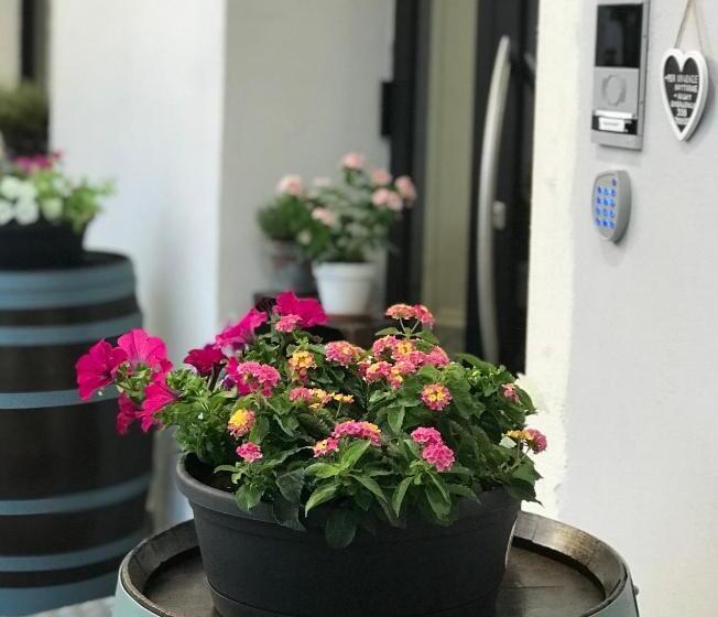 ホテル Monte Cimone