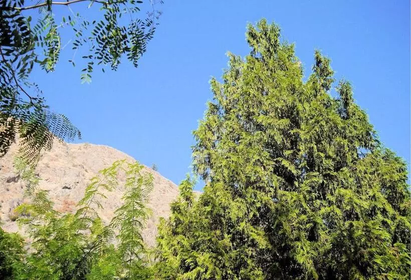 1 Of A Kind Sculpture B&b