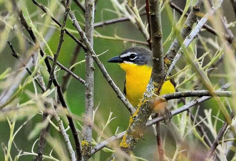 1 Of A Kind Sculpture B&b