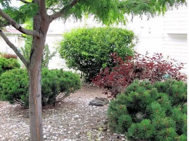 1 Of A Kind Sculpture B&b