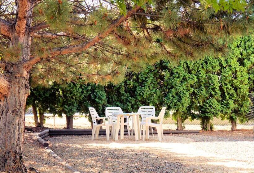 1 Of A Kind Sculpture B&b