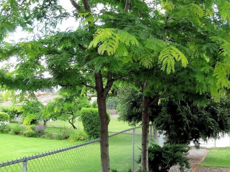 1 Of A Kind Sculpture B&b