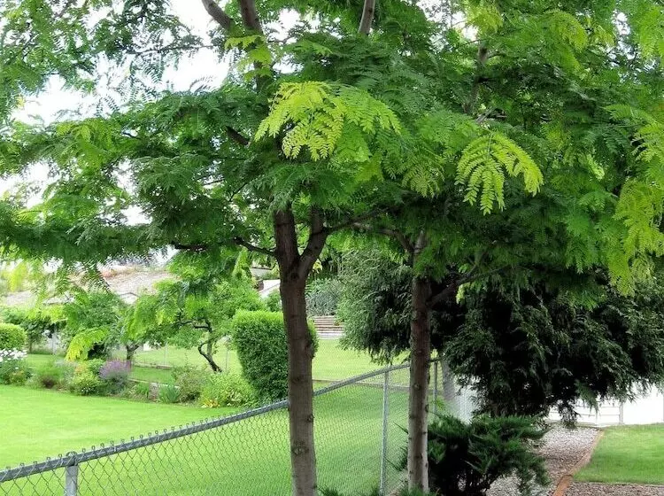 1 Of A Kind Sculpture B&b