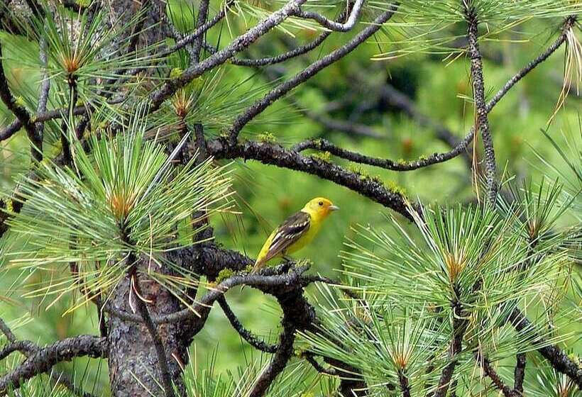 1 Of A Kind Sculpture B&b