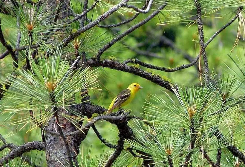 1 Of A Kind Sculpture B&b