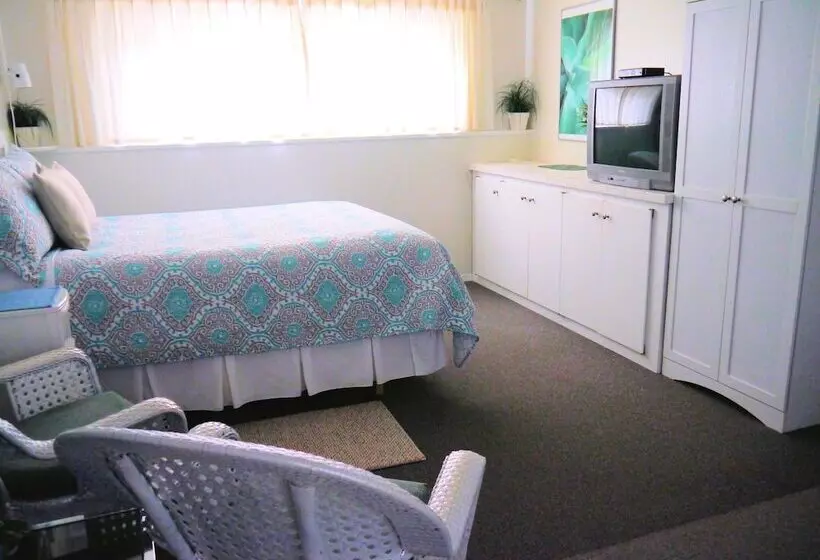 1 Of A Kind Sculpture B&b