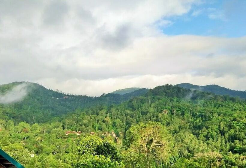 リゾートホテル Forest Canopy Thekkady
