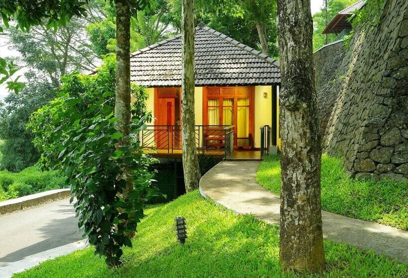 リゾートホテル Forest Canopy Thekkady