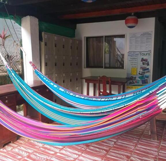 Отель Downtown Montezuma Hostel