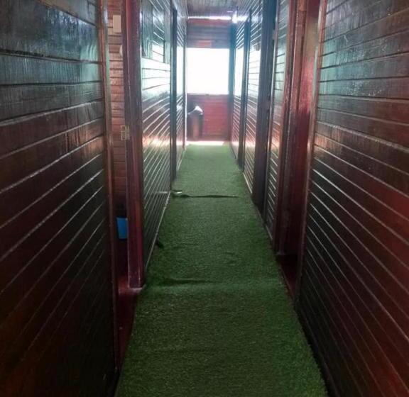 Отель Downtown Montezuma Hostel