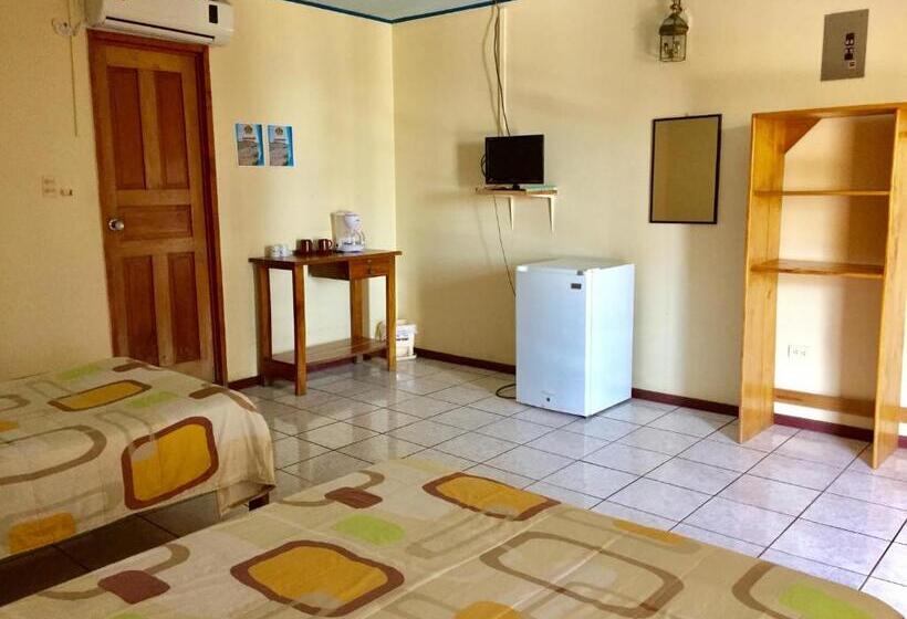 Отель Downtown Montezuma Hostel