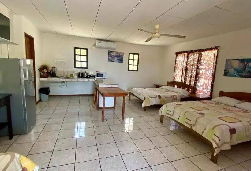 Hotelli Downtown Montezuma Hostel