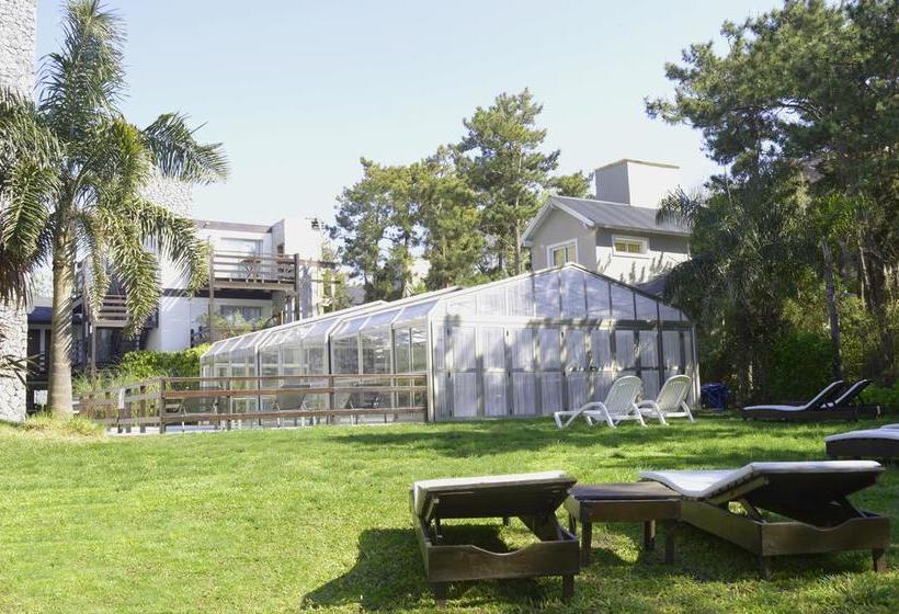 استراحتگاه Careyes Villa De Mar & Spa