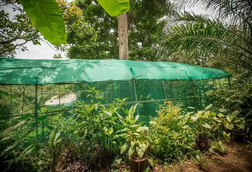 Lomakeskus Khaama Kethna Eco Sustainable Village