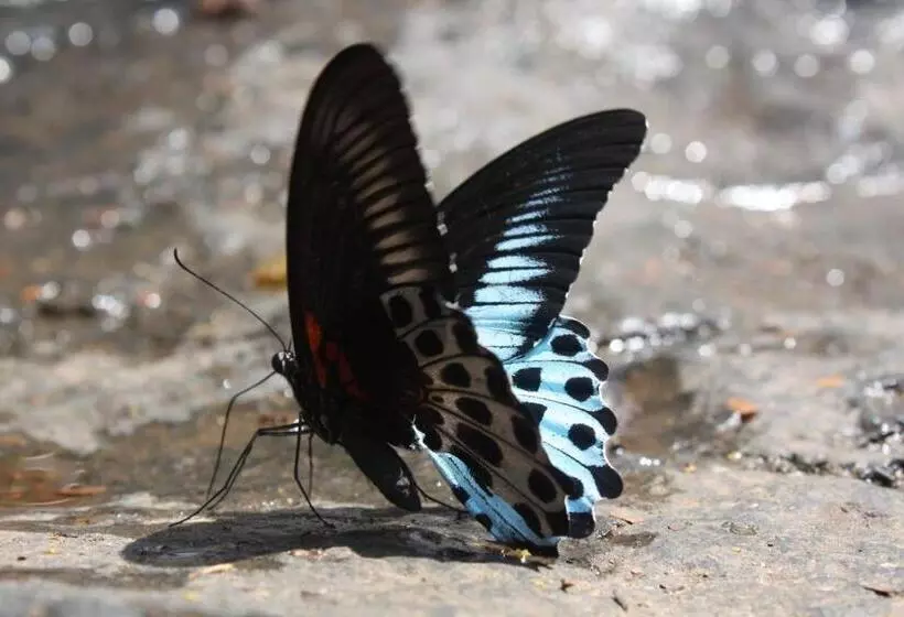 Lomakeskus Khaama Kethna Eco Sustainable Village