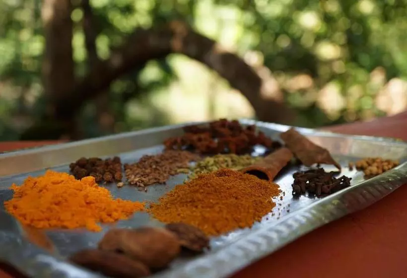 Lomakeskus Khaama Kethna Eco Sustainable Village