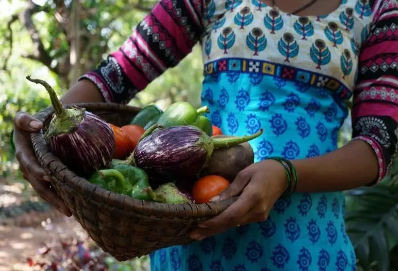 Lomakeskus Khaama Kethna Eco Sustainable Village