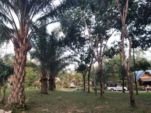 אתר נופש Kood Life