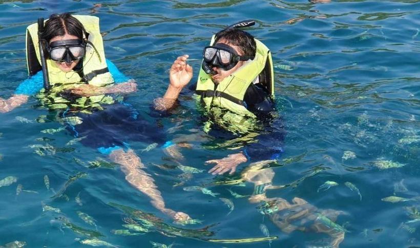 אתר נופש Kood Life