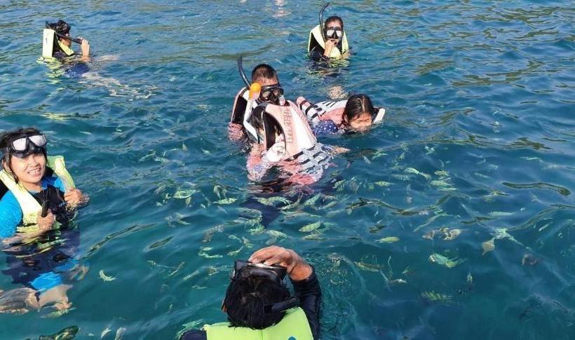 אתר נופש Kood Life