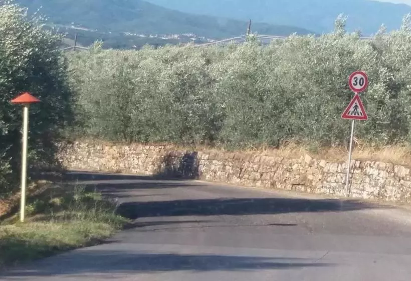 Aamiaismajoitus (B&B) Azzurre Beb