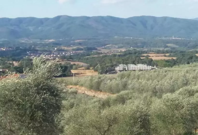 Aamiaismajoitus (B&B) Azzurre Beb