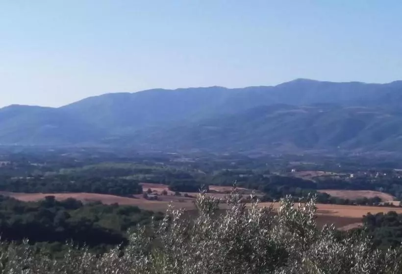 Aamiaismajoitus (B&B) Azzurre Beb