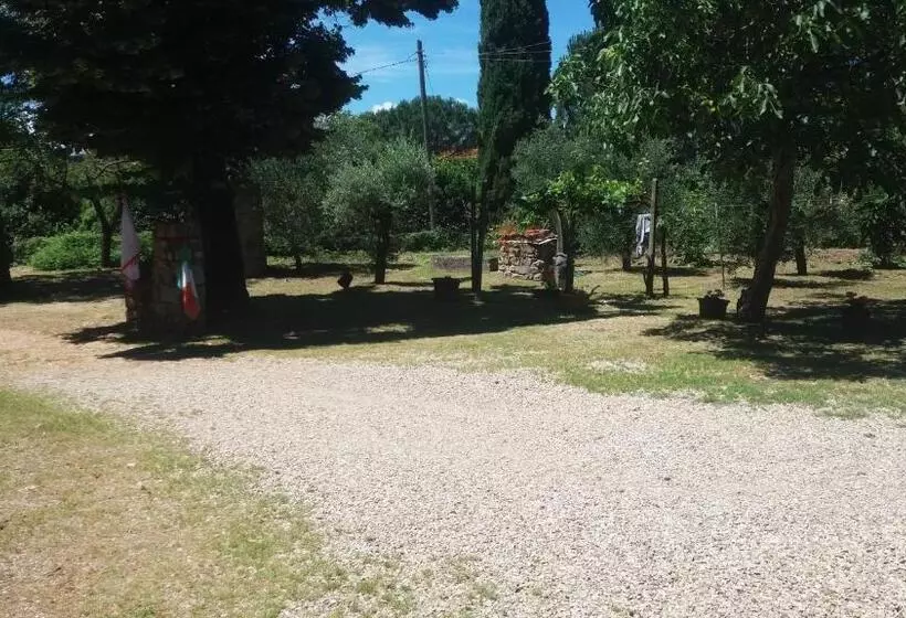 Aamiaismajoitus (B&B) Azzurre Beb