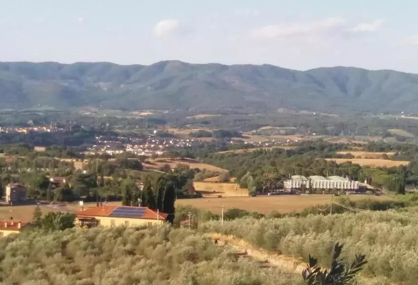 Aamiaismajoitus (B&B) Azzurre Beb